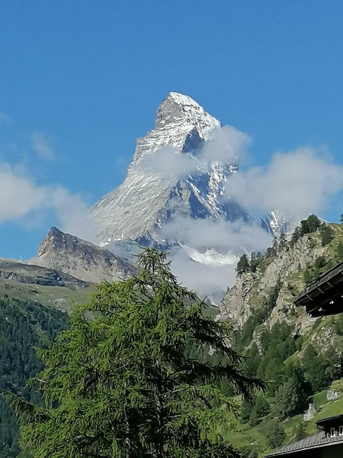 Petit Helvetia Budget Hotel Zermatt Exteriér fotografie